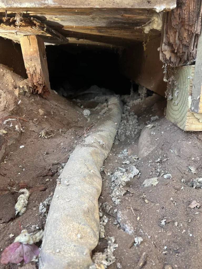 Efficiency for Homes and Businesses