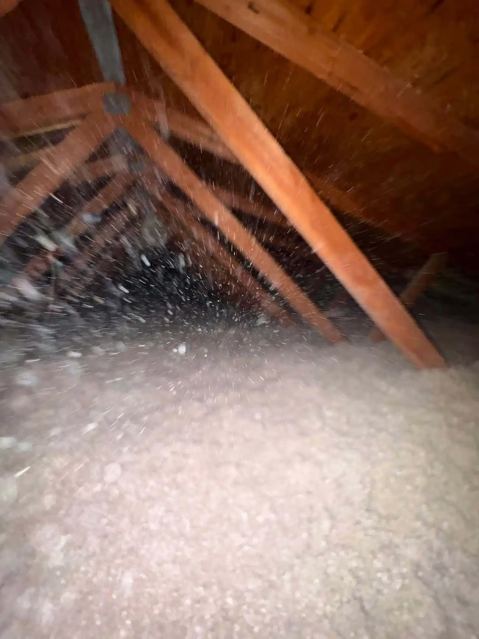 Does blown-in cellulose stop attic mold growth better than batts in Fox Crossing, WI Does blown-in cellulose stop attic mold growth better than batts in Fox Crossing, WI